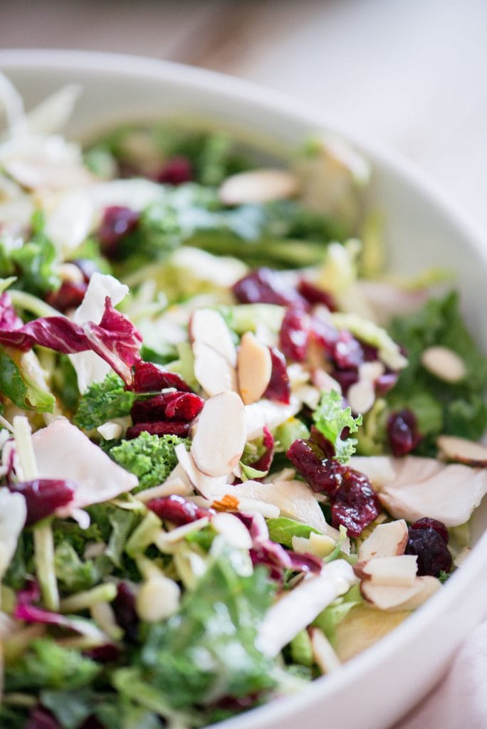 Close up photo of a bed of festive Holiday Salad. The salad made of purple cabbage, shaved Brussels sprouts, broccoli slaw, kale, and topped with dried cranberries and sliced almonds, is in a large white serving bowl.