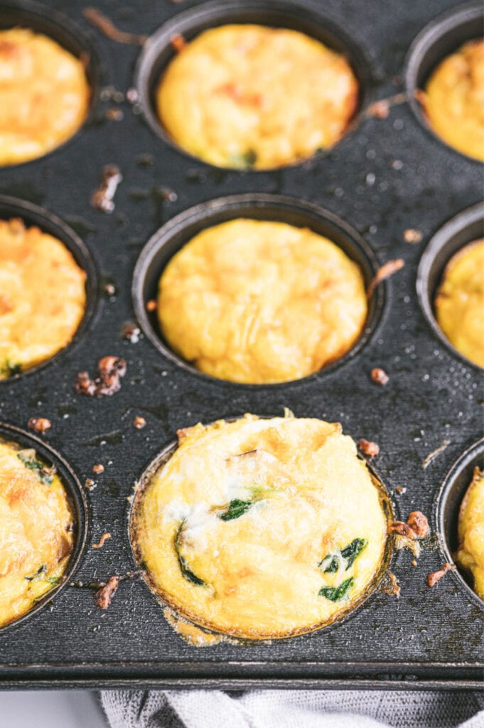Freshly cooked egg bites in are in a muffin tin, ready to be served.