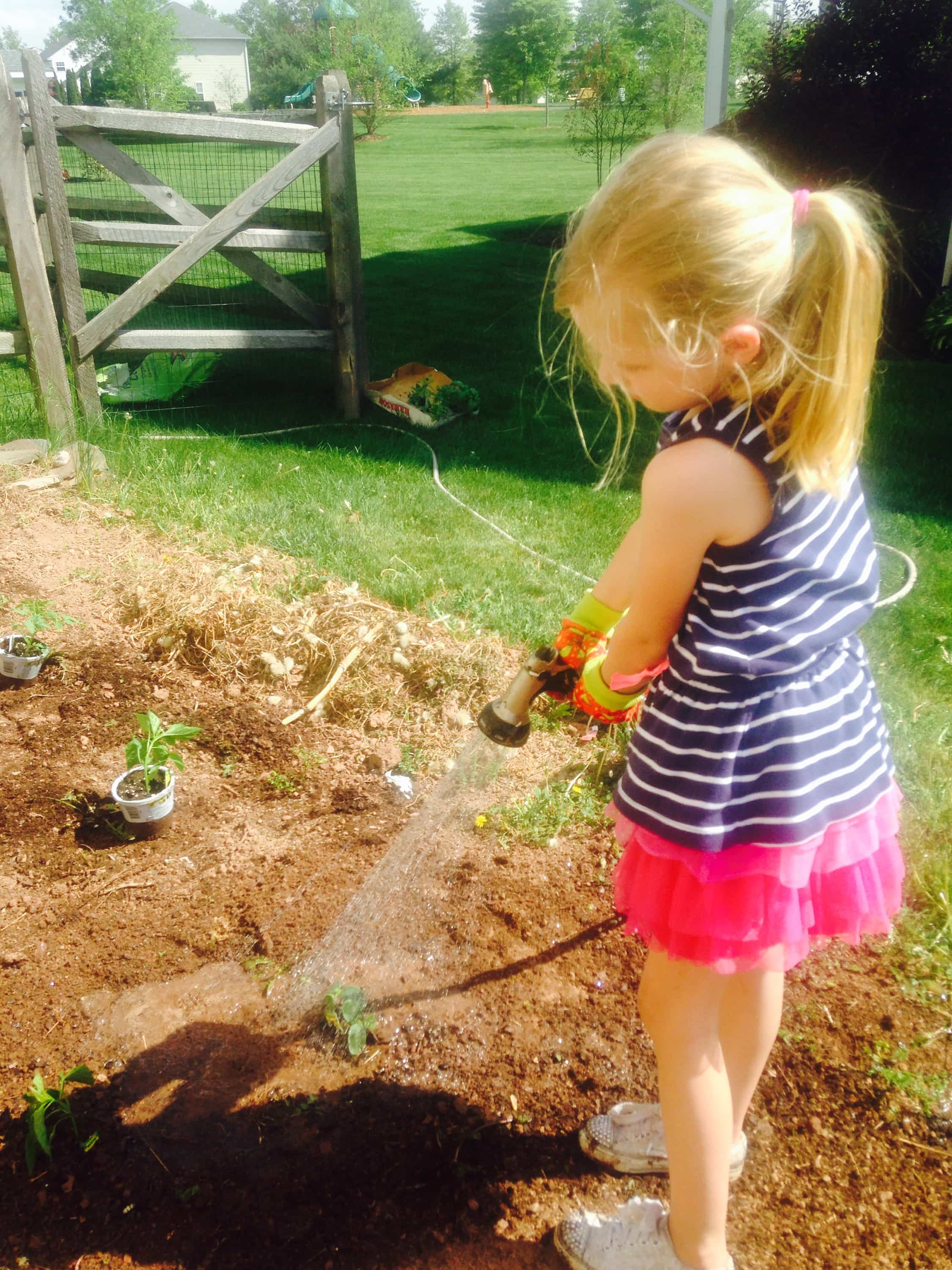 Little girl watering zucchini plants in the garden.